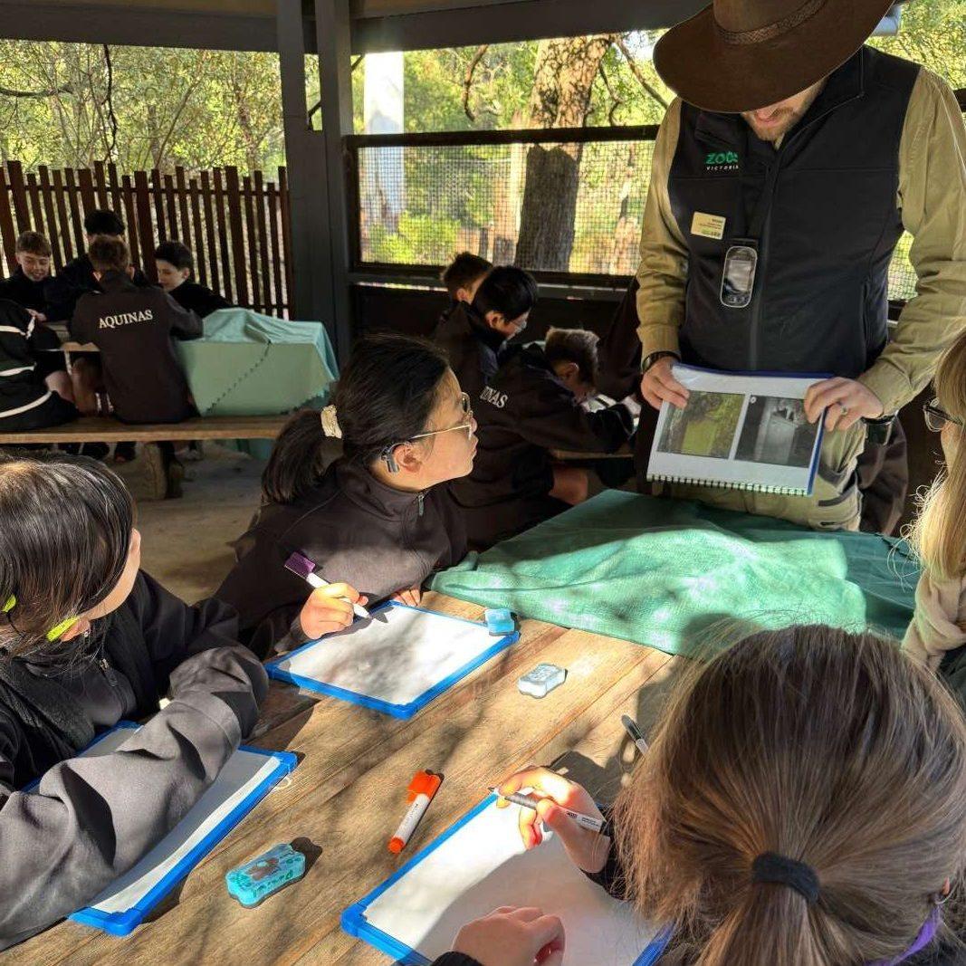 Healesville Year 7 10