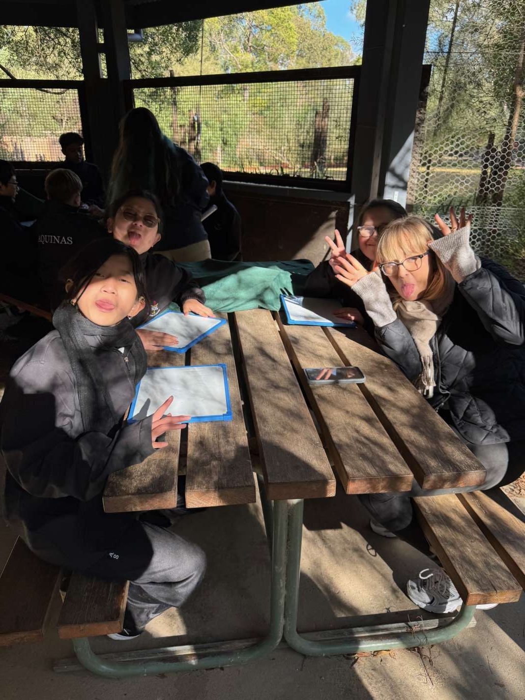 Healesville Year 7 9