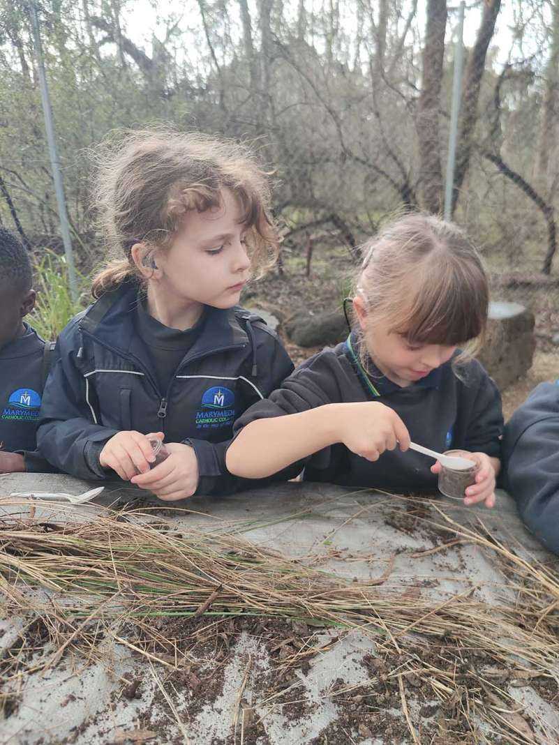 Year 1 Excursion Nangak Tamboree Wildlife Sanctuary 1