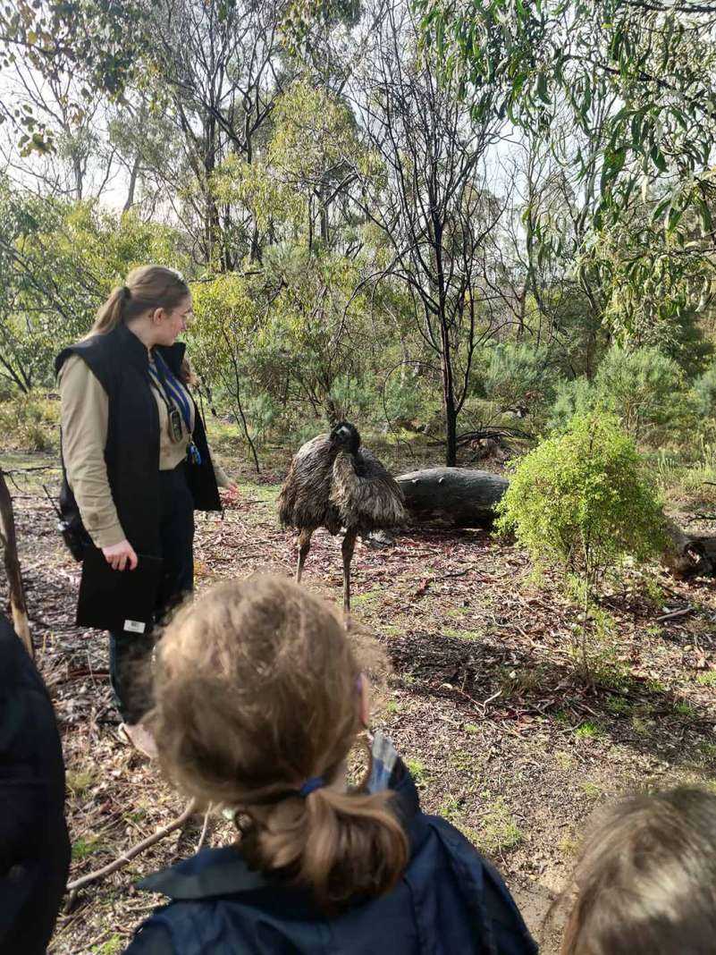 Year 1 Excursion Nangak Tamboree Wildlife Sanctuary 2