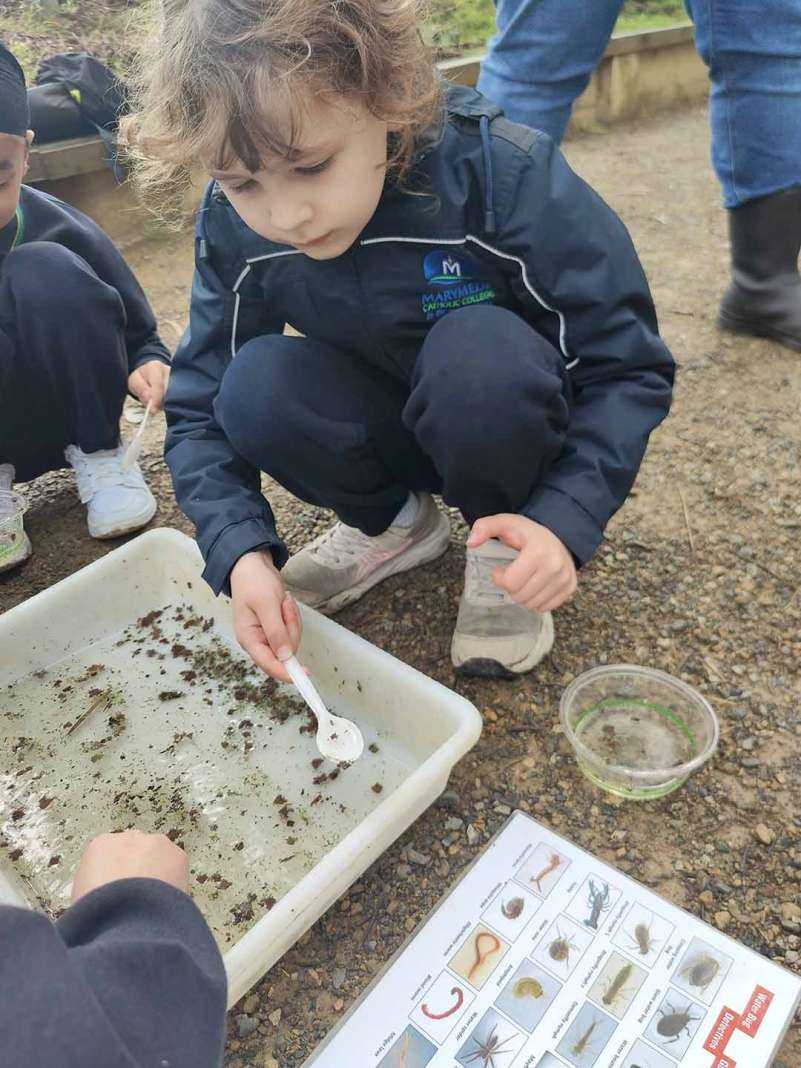 Year 1 Excursion Nangak Tamboree Wildlife Sanctuary 4