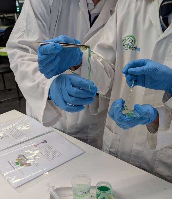 PXL 20250520 010452647